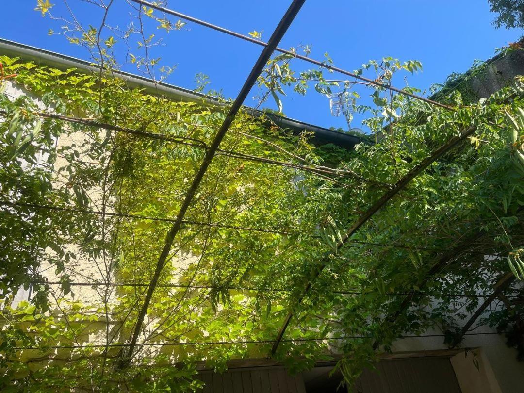 La Cartagene - Chambre Double カルヴィッソン エクステリア 写真
